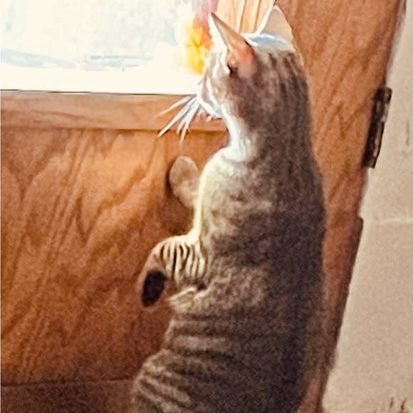 Annette here.  Love visits! Pics of house are with a i projections. - Picture 5 of 11